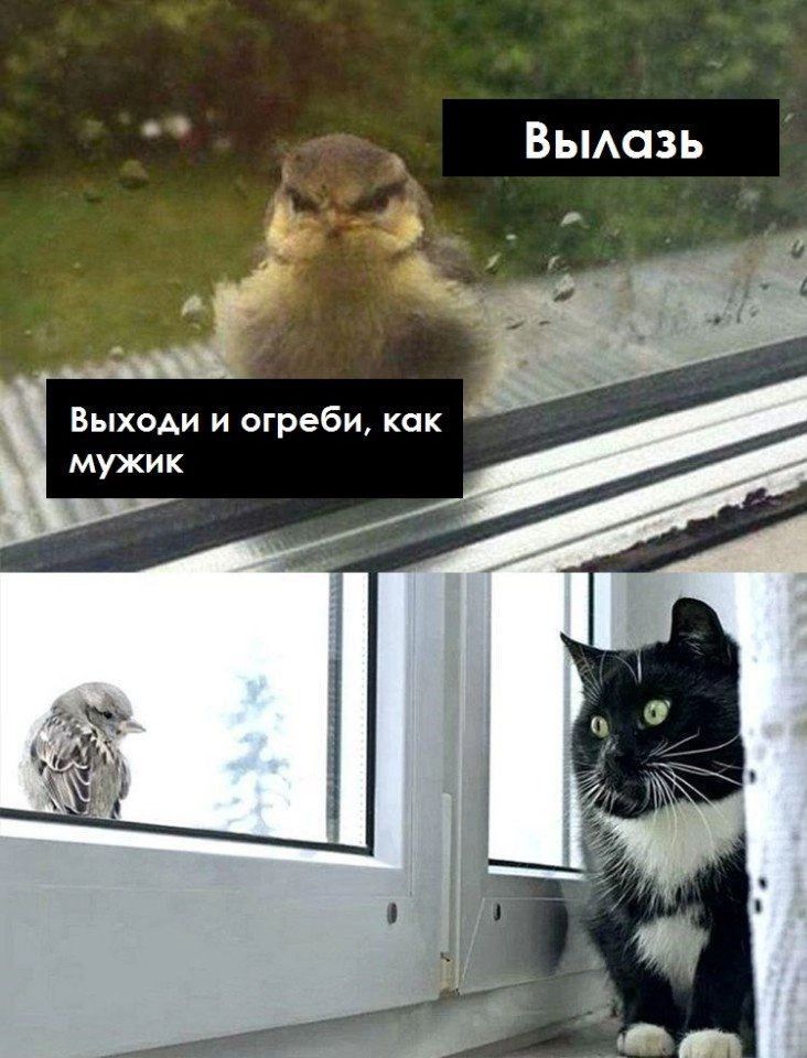_ Вьмазь Выходи и огреби мужик