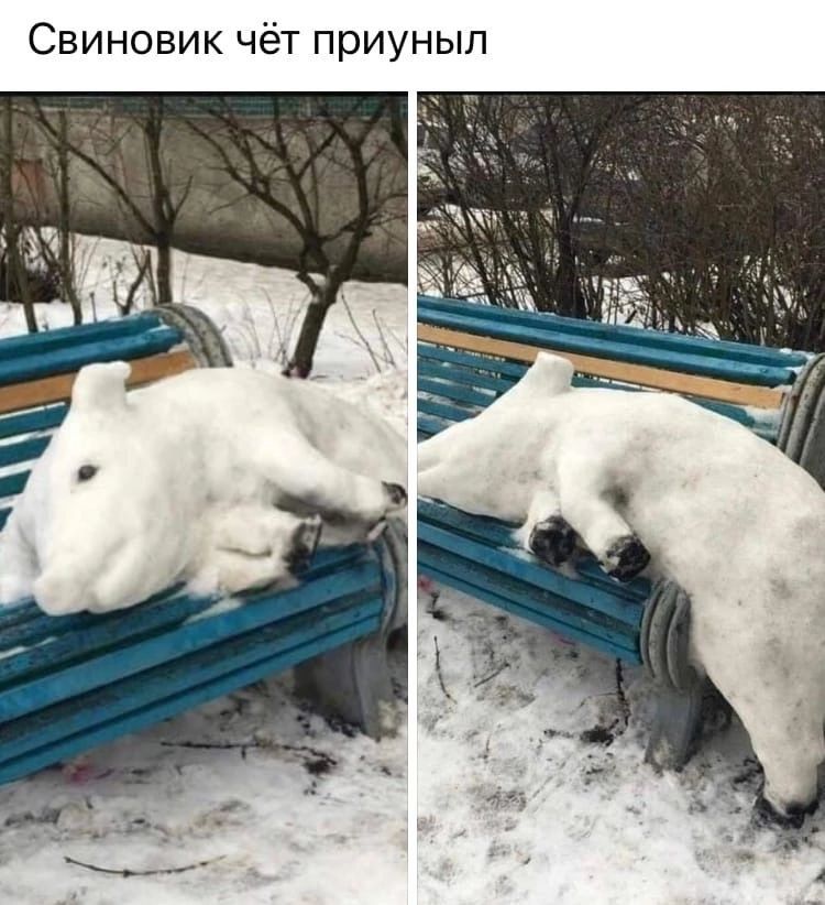 Свиновик чёт приунып