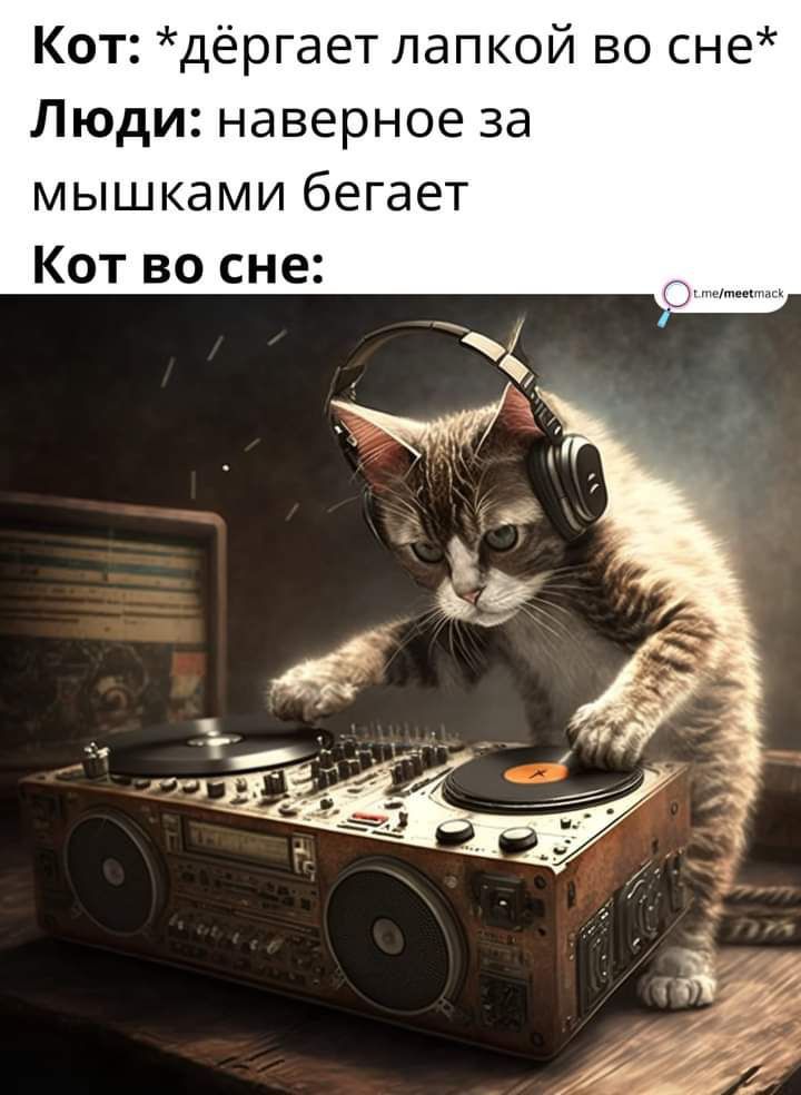 Кот дёргает папкой во сне Люди наверное за мышками бегает Кот во сне