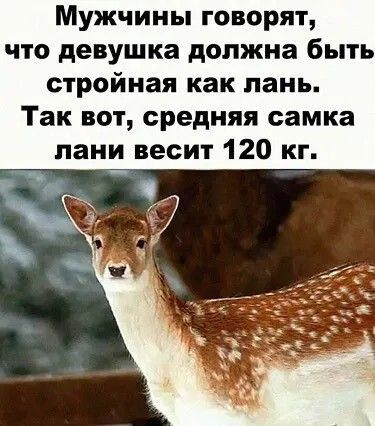 Мужчины говорят что девушка должна быть стройная как пань Так вот средняя самка пани весит 120 кг