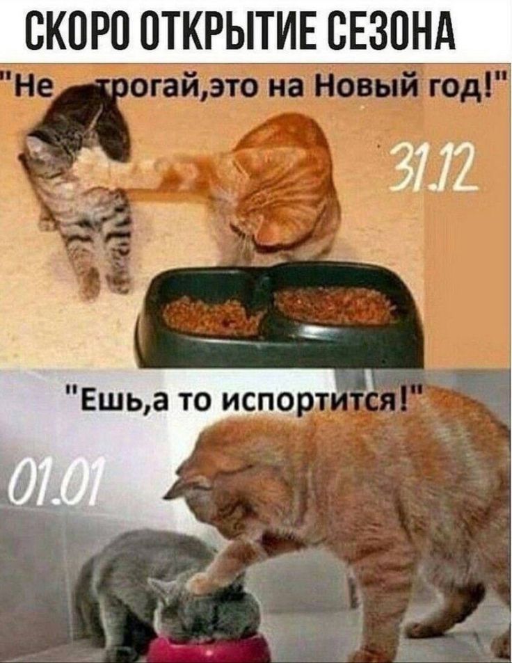 ВКПРП ОТКРЫТИЕ СЕЗОНА ЕУ г ш 3112
