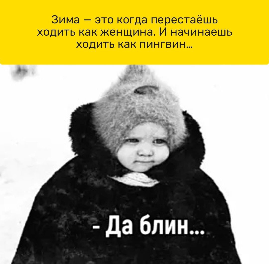Зима это коГда перестаёшь ходить как женщина И начинаешь ходить как пингвин да блин