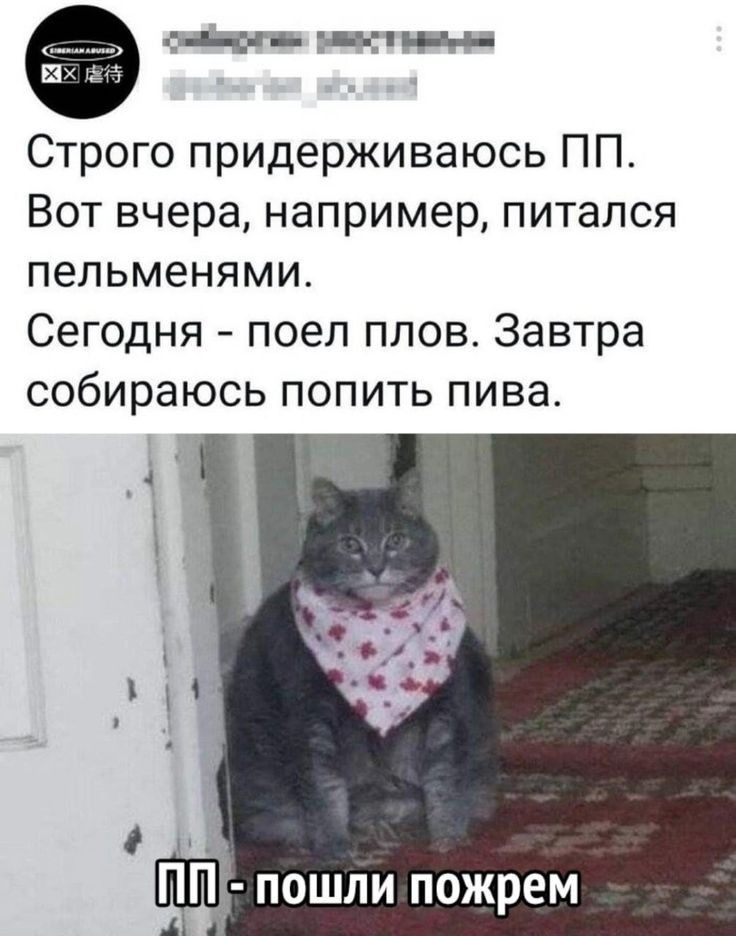 с чпь зы щи Строго придерживаюсь ПП Вот вчера например питался пельменями Сегодня поел плов Завтра собираюсь попить пива П пошли пожрем Д