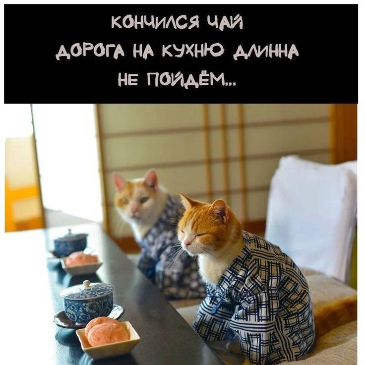 кончуися чм АоРогА нд кэхню миннА не пойдём