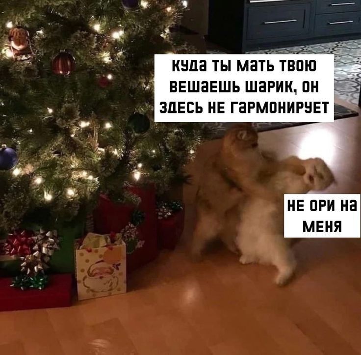 КЭЦЗ ТЫ мать ТЕ ВЕШВЕШЬ ШЕРИК ПН ЗДЕСЬ НЕ ГЗРМПНИРНЕТ