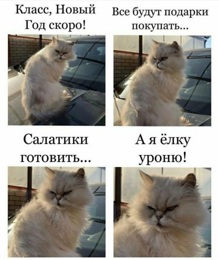 Класс Новый Год скоро Салатики готовить Все будут подарки покупать