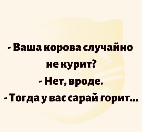 Ваша корова случайно не курит Нет вроде Тогда у вас сарай горит