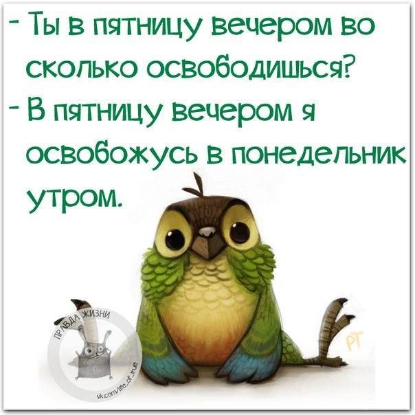 Ты в пятницу вечером во сколько освободиться В пятницу вечером я освобожусь в ждетмк