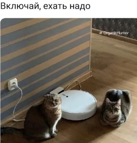 Включай ехать надо