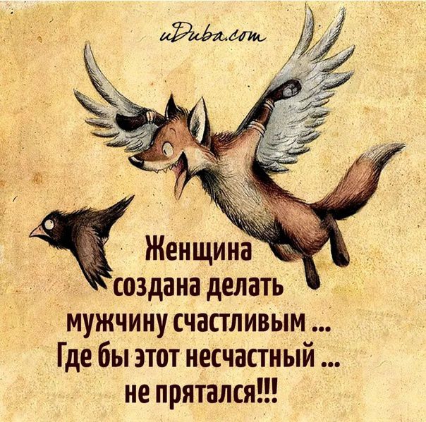 Женщина 1 И создана делать мужчину счастливым Где бы этот несчастный ие прятался