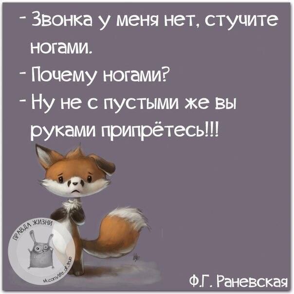 Звонка у меня нет стучите ногами Почему ногами Ну не с пустыми же вы руками припрётесь