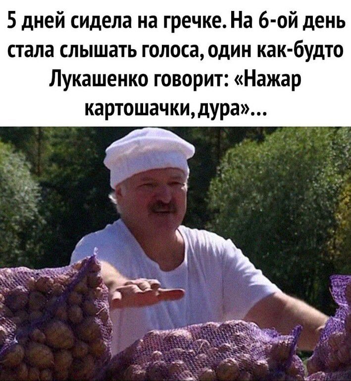 5 дней сидела на гречке На 6 ой день стала слышать голоса один как будто Лукашенко говорит Нажар картошачкидура