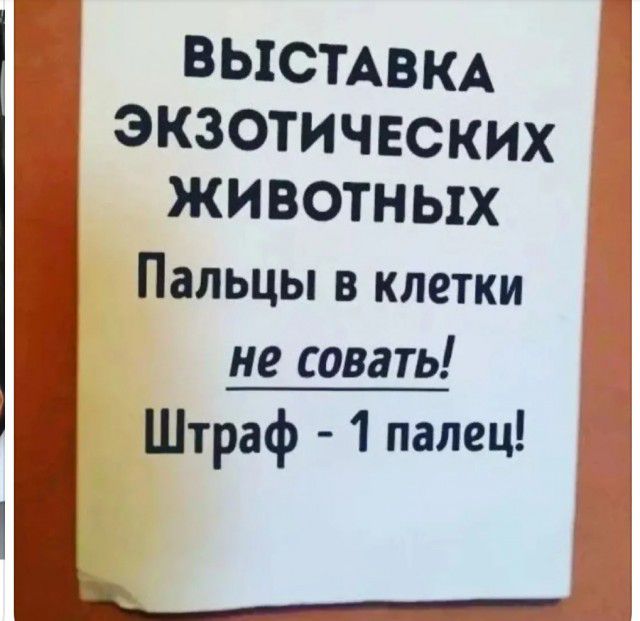 ВЫСТАВКА экзотических животных Пальцы в клетки не совать Штраф 1 палец