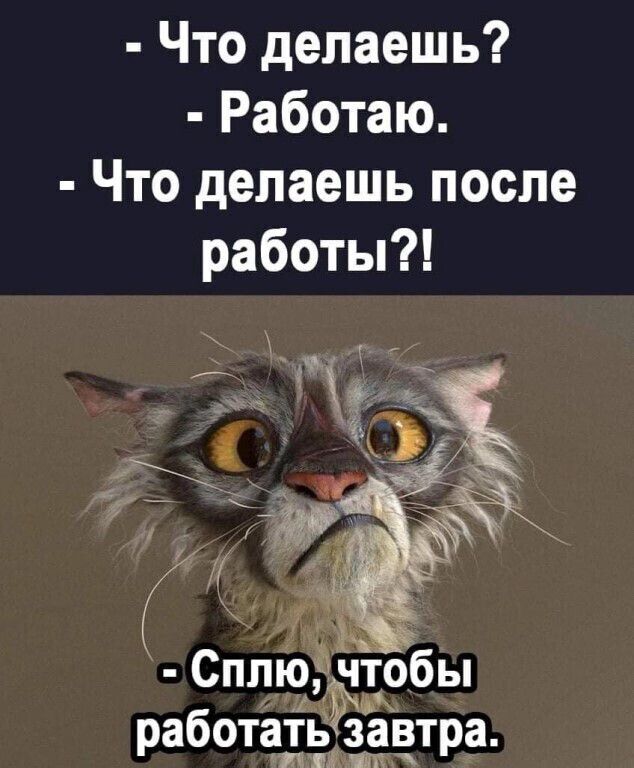 Что делаешь Работаю Что делаешь после работы работать завтра Щ