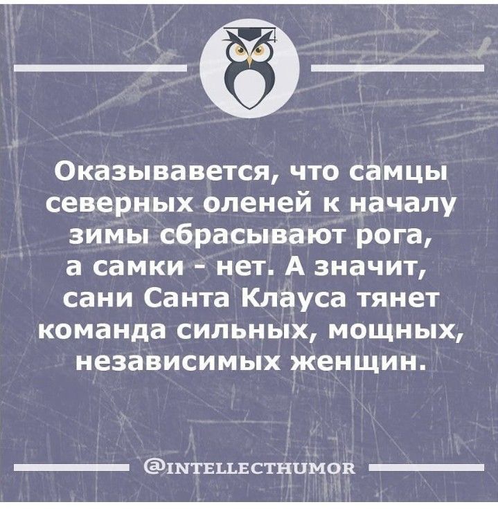 Оказывавется что самцы северных оленей к началу зимы сбрасывают рога а самки нет А значит сани Санта Клауса тянет команда СИЛЬНЬіХ МОЩНЬіХ независимых женщин _ штсщстнцмов _