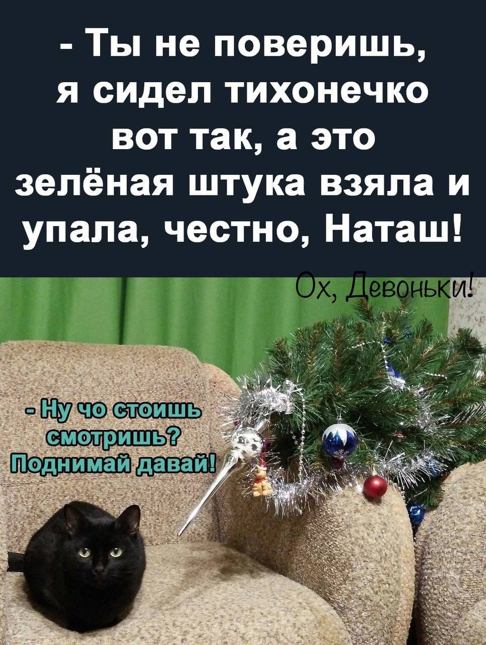 Ты не поверишь я сидел тихонечко вот так а это зелёная штука взяла и упала честно Наташ