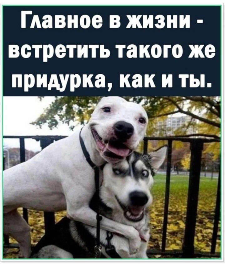 Главное в жизни встретить такого же придурка как и ты