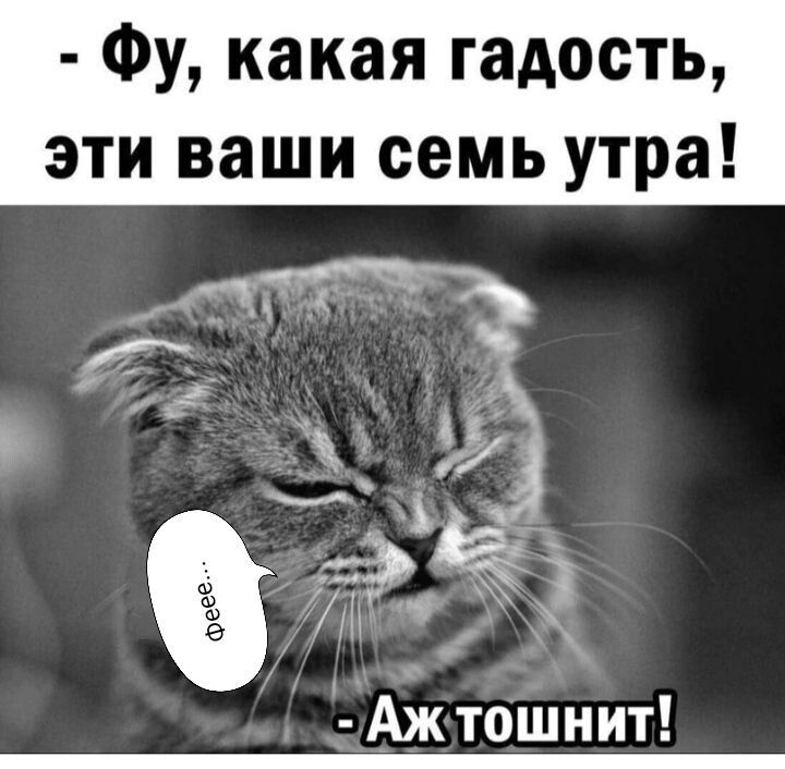 Фу какая гадость эти ваши семь утра Аж тошнит