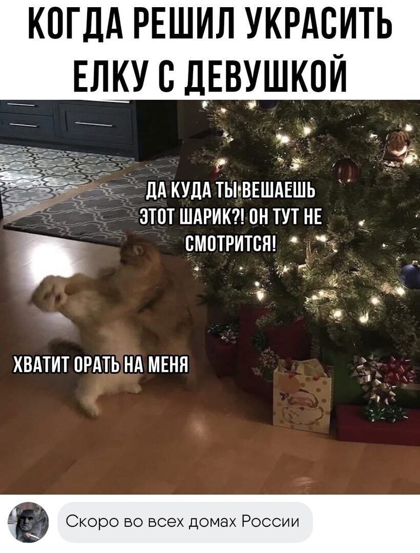 КПГДА РЕШИЛ УКРАСИТЬ __ ЕЛКУ С ДУЕВШКОЙ _ _ е ЧЁ ДА КУДА ТЫЕВЕШАЕШЬ ЭТОТ ШАРИК ОН ТУТ НЕ СМОТРИТЕ 3 О на ХВАТИТ БРАТЬ Нд МЕНЯ 5 Скоро во всех домах России
