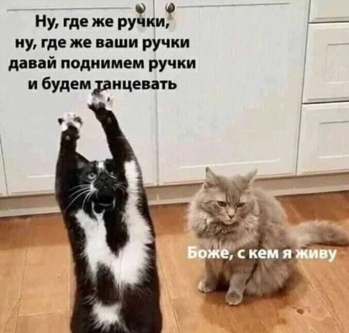 О 0 Ну где же ручки ну где же наши ручки давай паднимем ручки и будем рицеить