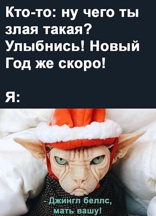 Кто то ну чего ты злая такая Улыбнись Новый Год же скоро джингл беплс мать вашу