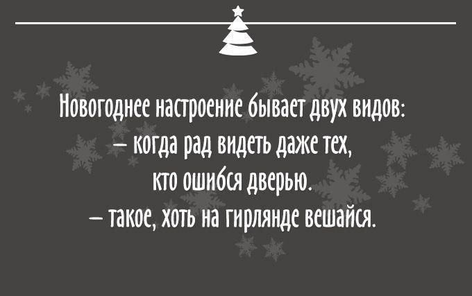 Новогоднее настроение бываетдвух видое когда рад внденъ дажетех кто ошибся дверью такое хоть на гнрллнде вешайен