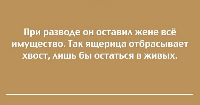 При разводе он оставил жене всё имущество Так ящерица отбрасывает хвост АИШЬ бы остаться в живых