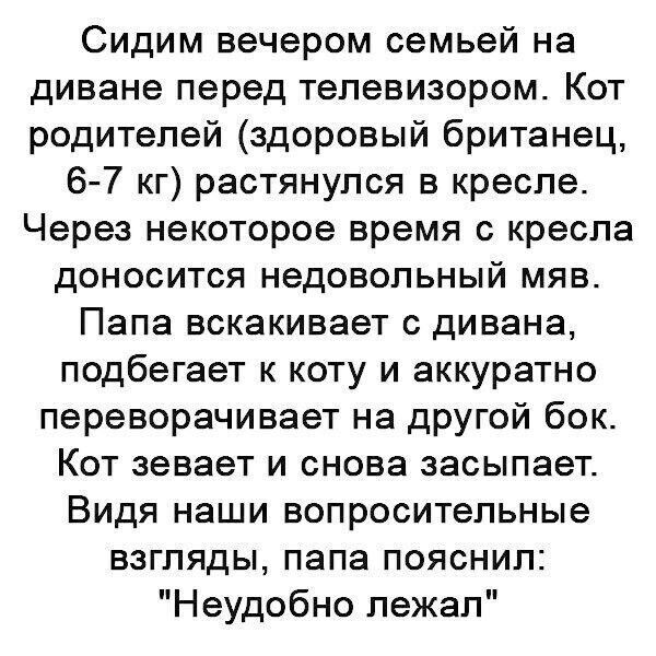 Сидим вечером семьей на диване перед телевизором КОТ родителей здоровый британец 6 7 кг растянулся в кресле Через некоторое время с кресла дОНООИТСЯ НЕДОВОПЬНЫЙ МЯВ Папа вскакивает с дивана подбегает к коту и аккуратно переворачивает на другой бок КОТ зевает И СНОВЗ засыпает Видя наши вопросительные взгляды папа пояснил Неудобно пежал