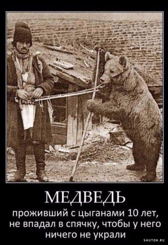 МЕДВЕДЬ проживший с цыганами 10 лет не впадал в спячку чтобы у него ничего не украли