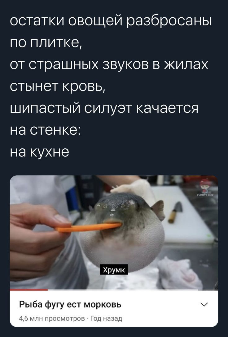 остатки овощей разбросаны по плитке от страшных звуков в жилах стынет кровь шипастый силуэт качается на стенке на кухне Рыба фугу ест морковь нм