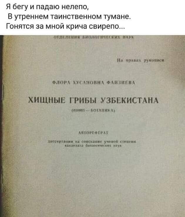 Я Бегу и падаю нелепо В утреннем таинственном тумане Гони гея за мной крича свирепа