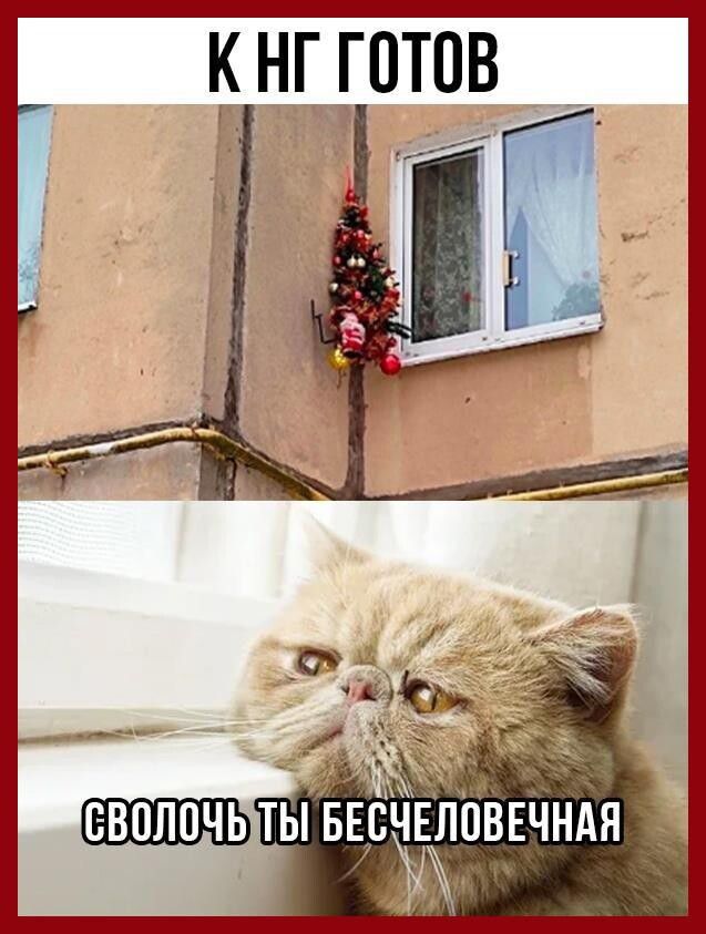 нг готов пВЁЧНАй сволочь ты Ёрч