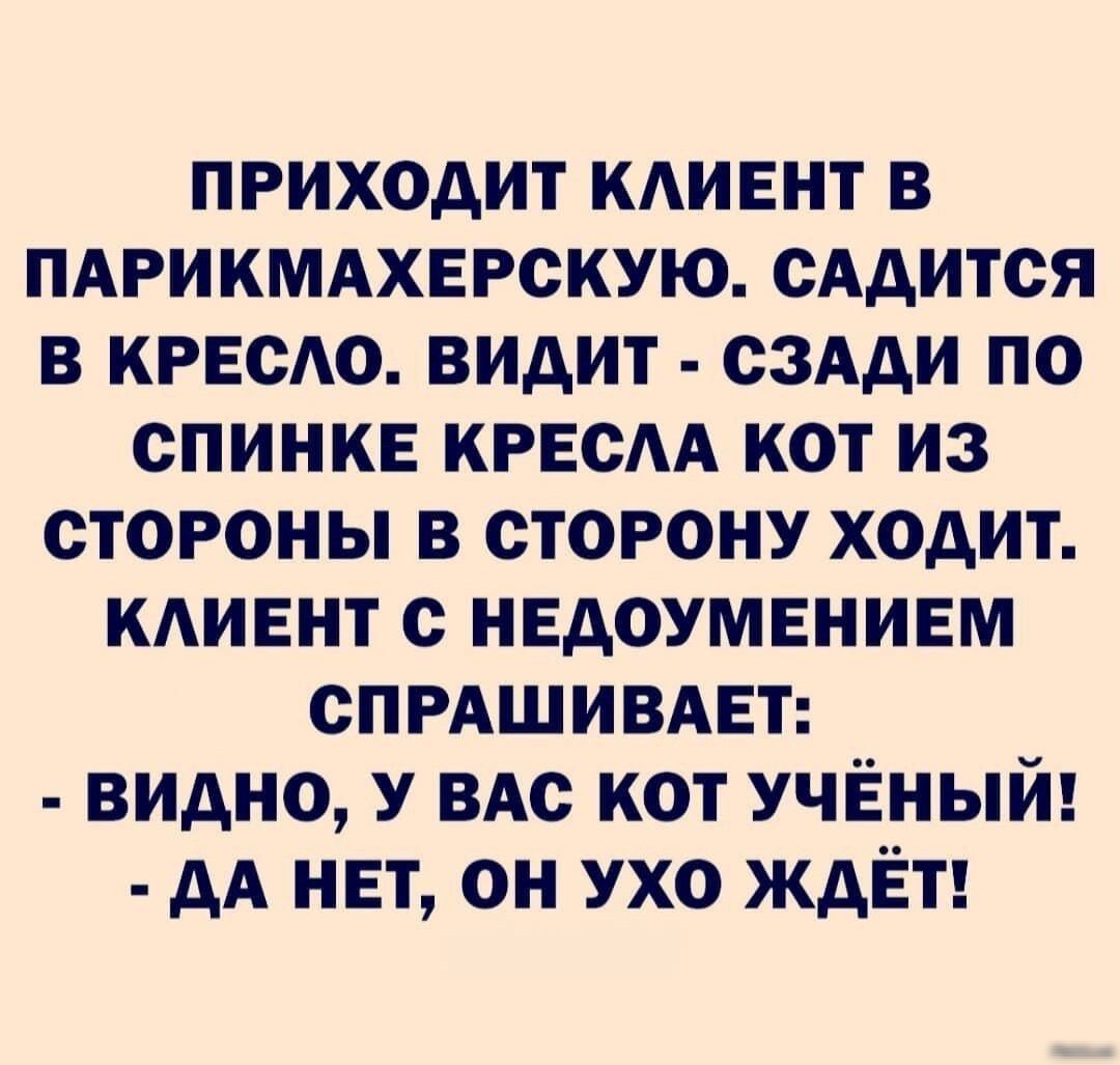 приходит кАиент в мрикмдхерскую идти в краю видит сздди по спинке кресАА кот из стороны в сторону ходит клиент недоумением СПРАШИВАЕТ видно у вАс кот ученый АА нет он ухо ждет