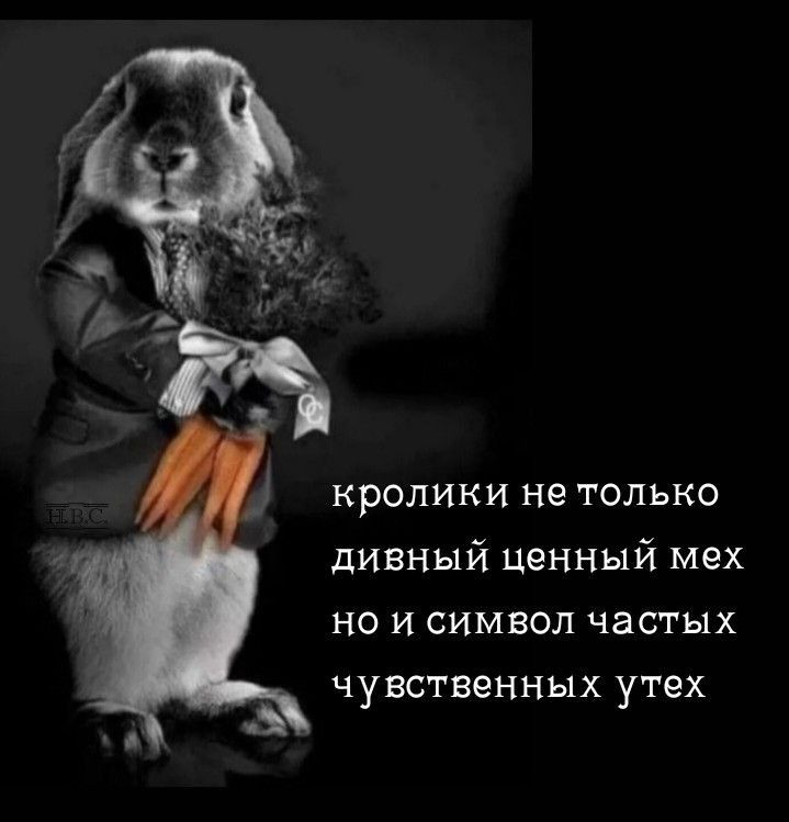 КРОЛИКИ не ТОЛЬКО дивный ценный мех НО И СИМВОЛ частых ЧУВСТВЁННЫХ УТЕХ