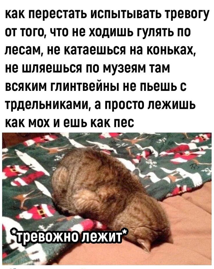 как ПЕРЕОТЗТЬ ИОПЫТЫВЗТЬ тревогу ОТ ТОГО ЧТО не ХОдИШЬ ГУЛЯТЬ ПО ЛЕСЗМ не КЗТЗЕШЬОЯ на коньках НЕ ШЛЯЕШЬОЯ ПО музеям там ВСЯКИМ ГЛИНТВЕЙНЫ НВ ПЬЕШЬ С трдепьниками а ПРОСТО ЛЕЖИШЬ как МОХ И ВШЬ как ПЕС