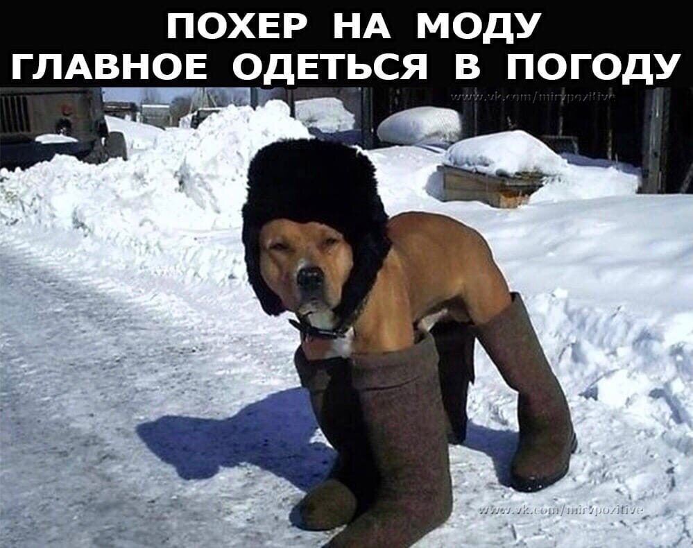 ПОХЕР НА МОДУ ГЛАВНОЕ ОДЕТЬСЯ В ПОГОДУ