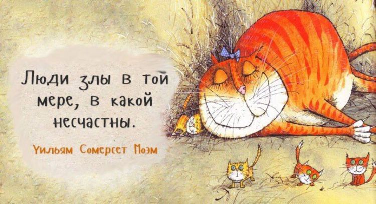 мер в каюй ЧШТНЫ м с и