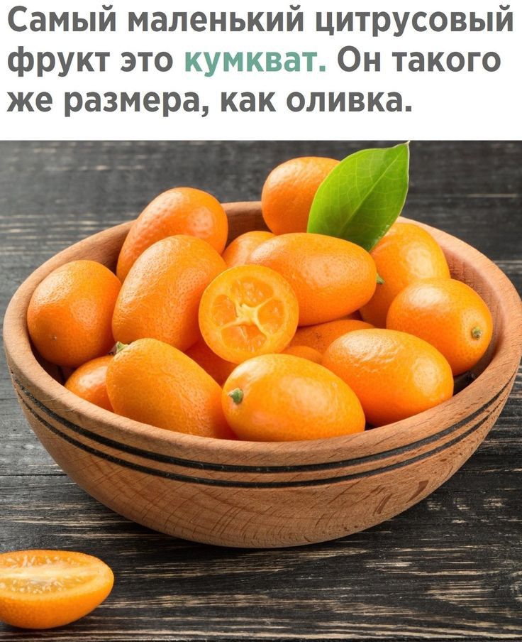 Самый маленький цитрусовый фрукт это Он такого же размера как оливка