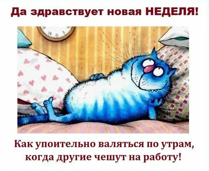 да здравствует новая НЕДЕЛЯ Как упоительно валяться по утрам когда другие чешут на работу
