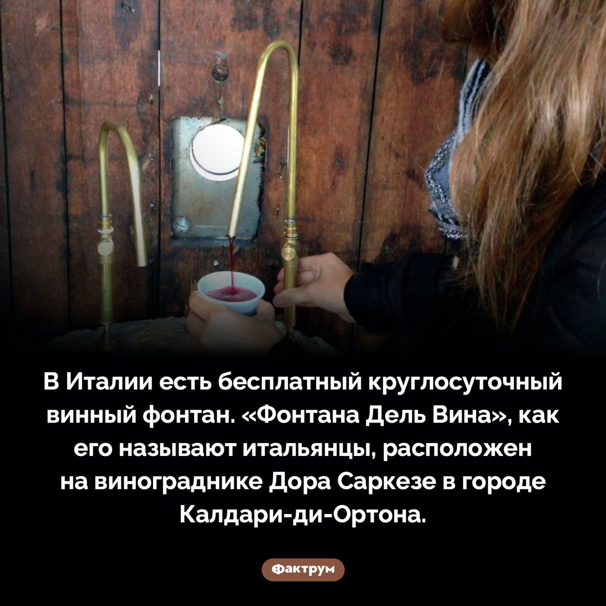 В Италии есть бесплатный круглосуточный винный фонтан Фонтана дель вина как его называют итальянцы расположен на вииоградиике дара Саркезе в городе Калдари ди Ортона сыпи