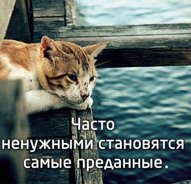 ЫЭСТО съ НЕНУЖНЫМИЖПЗНОВЯТСЯ саМые РРЕАЭННЫЕ