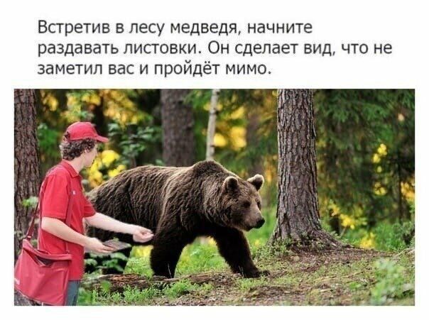 Встретив в лесу медведя начните раздавать ПИСТОЕКИ ОН СДЕПБЕТ ВИД ЧТО не заметил вас и пройдёт миша