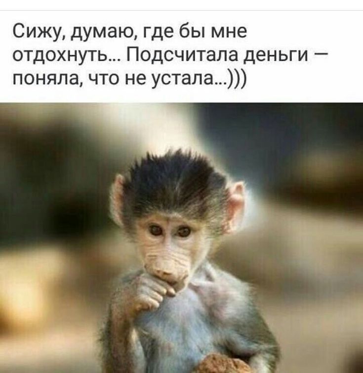 Сижу думаю где бы мне отдохнуть Подсчитала деньги поняла что не устала