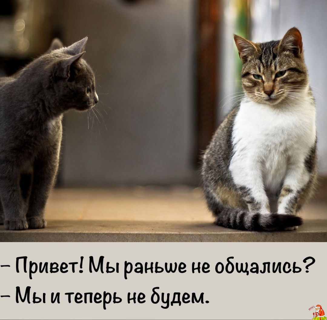 Привет Мы раньше не общались Мы и теперь не будем