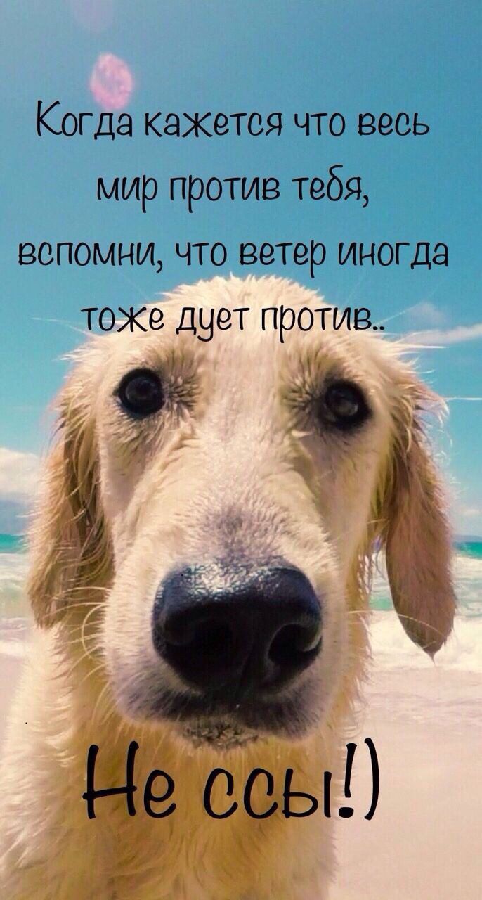 Когда кажется что весь мир против тебя вспомни что ветер иногда тоже дует против