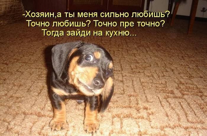 у ь Хозяина ты меня сильно пюбишь7 Точно любишь Точно пре точно Тогда зайди на кухню