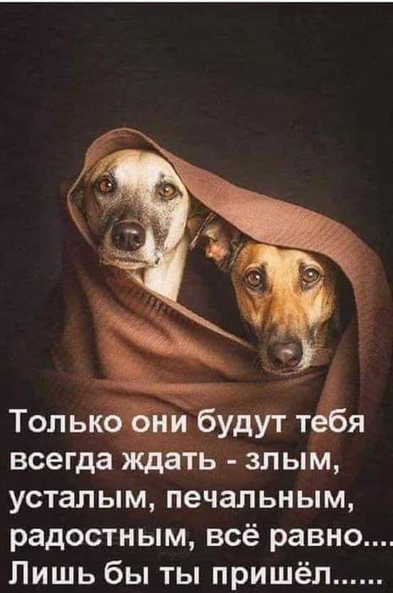 Тольк будут тдя всегда Ящёіь злым усталым печальным радостным всё равно Лишь бы ты пришёл