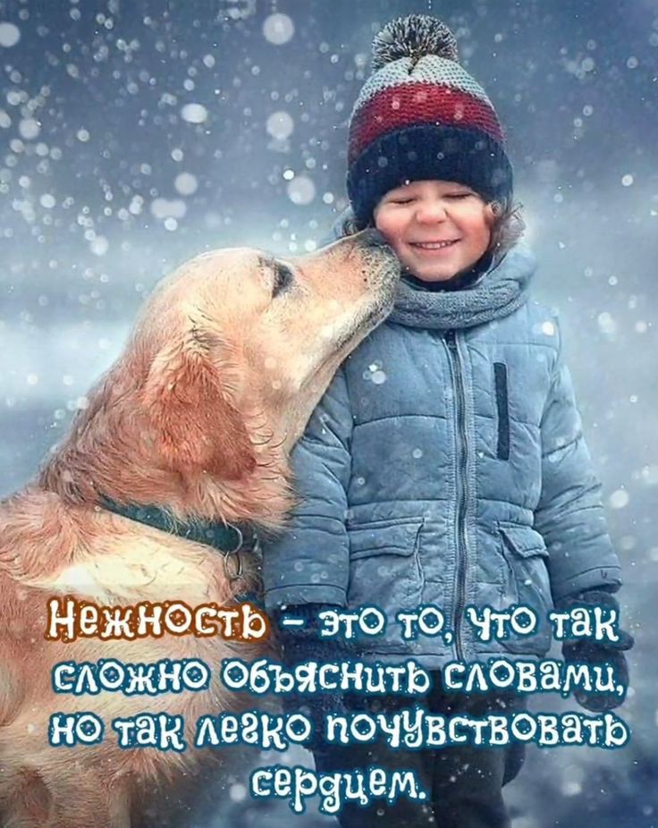 дк дожна объяснитЁёЁювёмиг почивствовать ЁРЁЦЕМ