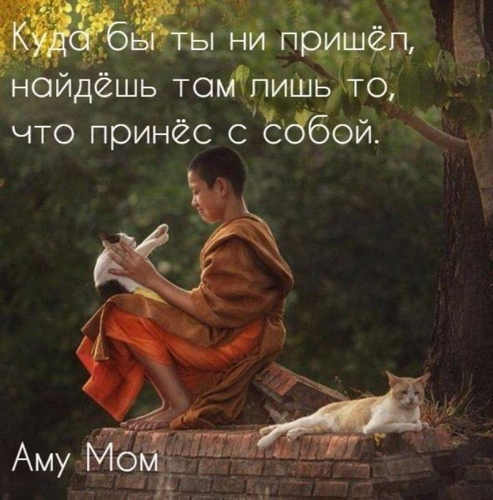 ыёйдёшь ТОЩЬЙФ что принёс сЁббёй