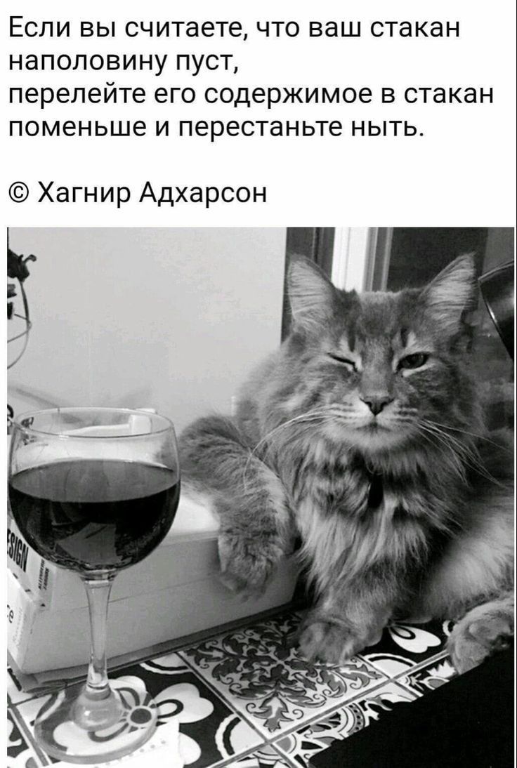 ЕСЛИ ВЫ считаете ЧТО ваш стакан наполовину ПУСТ перелейте ЭГО содержимое В стакан ПОМЕНЬШЕ И перестаньте НЫТЬ Хагнир Адхарсон
